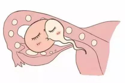 当院について