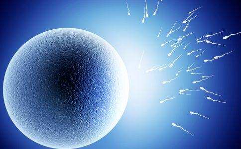 体外受精 IVF-ET